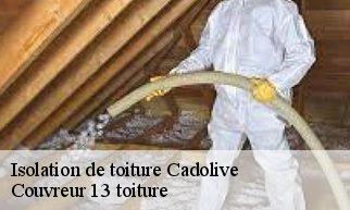Isolation de toiture  cadolive-13950 Couvreur 13 toiture
