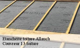 Etanchéité toiture  allauch-13190 Couvreur 13 toiture