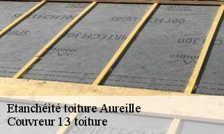 Etanchéité toiture aureille-13930 Couvreur 13 toiture