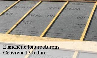 Etanchéité toiture  aurons-13121 Couvreur 13 toiture