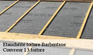 Etanchéité toiture  barbentane-13570 Couvreur 13 toiture