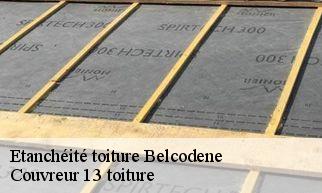 Etanchéité toiture  belcodene-13720 Couvreur 13 toiture