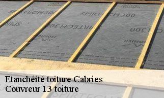 Etanchéité toiture cabries-13480 Couvreur 13 toiture