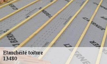 Etanchéité toiture 13480