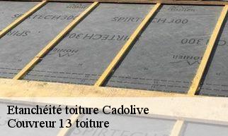 Etanchéité toiture cadolive-13950 Couvreur 13 toiture