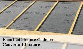 Etanchéité toiture  cadolive-13950 Couvreur 13 toiture