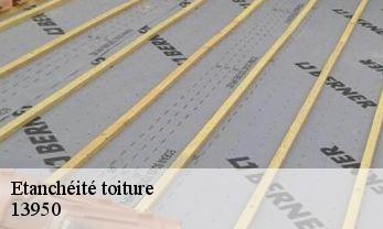 Etanchéité toiture 13950