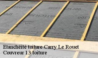 Etanchéité toiture carry-le-rouet-13620 Couvreur 13 toiture