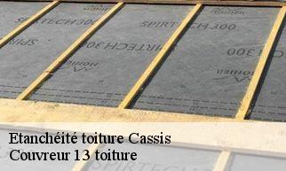 Etanchéité toiture cassis-13260 Couvreur 13 toiture