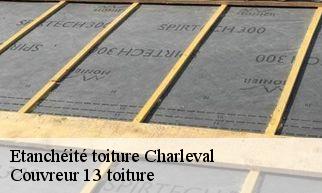 Etanchéité toiture  charleval-13350 Couvreur 13 toiture