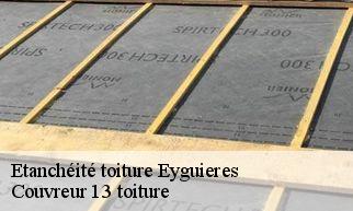 Etanchéité toiture eyguieres-13430 Couvreur 13 toiture