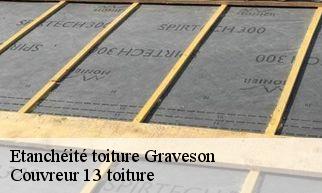 Etanchéité toiture  graveson-13690 Couvreur 13 toiture