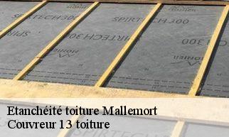 Etanchéité toiture  mallemort-13370 Couvreur 13 toiture