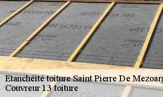 Etanchéité toiture saint-pierre-de-mezoargue-13150 Couvreur 13 toiture