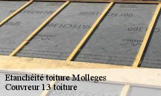 Etanchéité toiture  molleges-13940 Couvreur 13 toiture