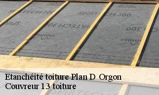 Etanchéité toiture plan-d-orgon-13750 Couvreur 13 toiture