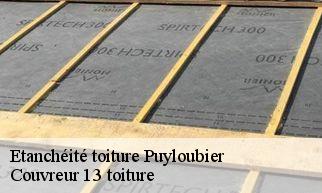 Etanchéité toiture  puyloubier-13114 Couvreur 13 toiture