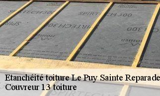 Etanchéité toiture le-puy-sainte-reparade-13610 Couvreur 13 toiture
