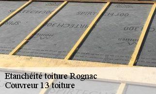 Etanchéité toiture rognac-13340 Couvreur 13 toiture