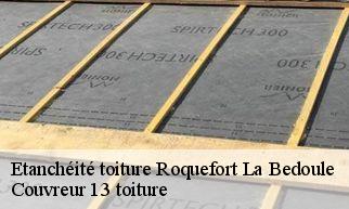 Etanchéité toiture  roquefort-la-bedoule-13830 Couvreur 13 toiture