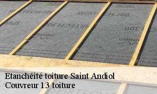 Etanchéité toiture  saint-andiol-13670 Couvreur 13 toiture
