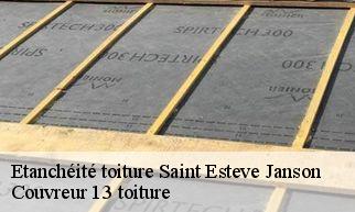 Etanchéité toiture saint-esteve-janson-13610 Couvreur 13 toiture