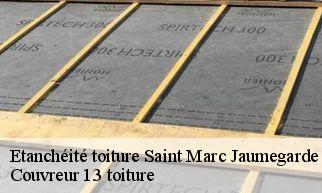 Etanchéité toiture  saint-marc-jaumegarde-13100 Couvreur 13 toiture