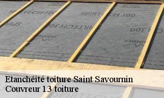 Etanchéité toiture saint-savournin-13119