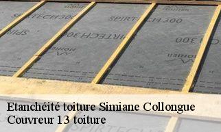 Etanchéité toiture simiane-collongue-13109 Couvreur 13 toiture