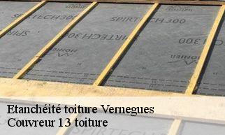 Etanchéité toiture  vernegues-13116 Couvreur 13 toiture