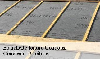 Etanchéité toiture coudoux-13111 Couvreur 13 toiture