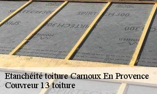 Etanchéité toiture carnoux-en-provence-13470 Couvreur 13 toiture