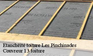 Etanchéité toiture  les-pinchinades-13080 Couvreur 13 toiture