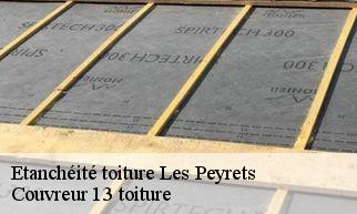 Etanchéité toiture  les-peyrets-13220 Couvreur 13 toiture