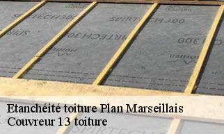 Etanchéité toiture plan-marseillais-13980 Couvreur 13 toiture