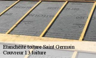 Etanchéité toiture saint-germain-13013 Couvreur 13 toiture