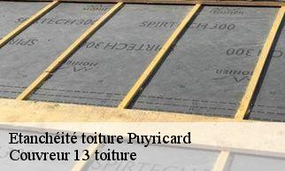 Etanchéité toiture  puyricard-13540 Couvreur 13 toiture