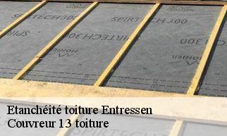 Etanchéité toiture entressen-13118 Couvreur 13 toiture