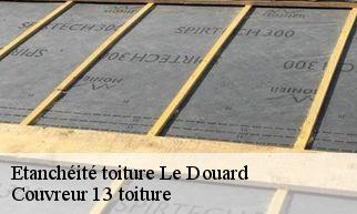 Etanchéité toiture le-douard-13740 Couvreur 13 toiture