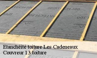 Etanchéité toiture les-cadeneaux-13170 Couvreur 13 toiture