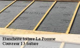 Etanchéité toiture la-pomme-13720 Couvreur 13 toiture