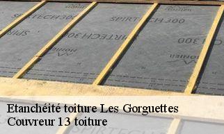 Etanchéité toiture  les-gorguettes-13720 Couvreur 13 toiture