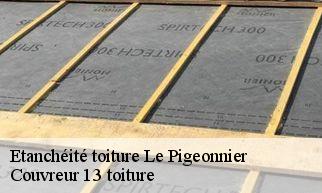 Etanchéité toiture le-pigeonnier-13720 Couvreur 13 toiture