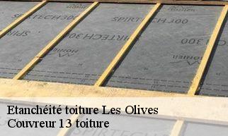 Etanchéité toiture  les-olives-13013 Couvreur 13 toiture