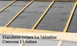 Etanchéité toiture  la-valentine-13011 Couvreur 13 toiture