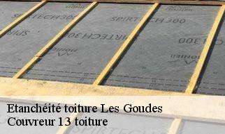 Etanchéité toiture les-goudes-13008 Couvreur 13 toiture