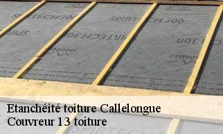 Etanchéité toiture  callelongue-13008 Couvreur 13 toiture