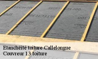 Etanchéité toiture callelongue-13008 Couvreur 13 toiture