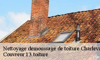 Nettoyage demoussage de toiture  charleval-13350 Couvreur 13 toiture