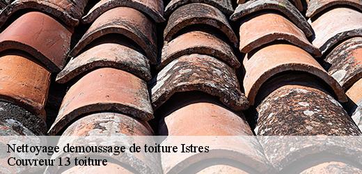 nettoyage-demoussage-de-toiture-4
